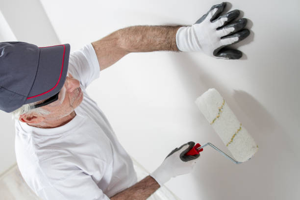 Best Industrial Mold Remediation  in Brookville, NY