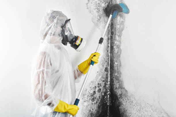 Best HVAC Mold Inspection and Cleaning  in Brookville, NY