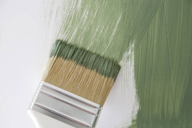 Best Environmental Consulting for Mold Prevention  in Brookville, NY
