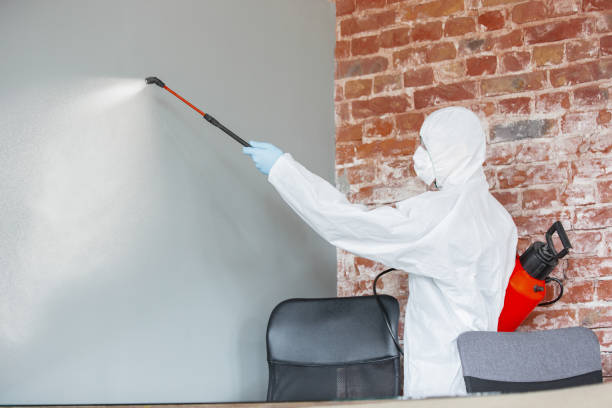 Best Post-Remediation Verification Testing  in Brookville, NY