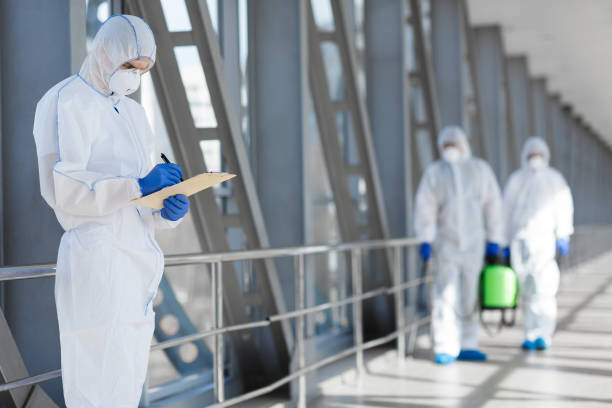 Environmental Consulting for Mold Prevention in Brookville, NY
