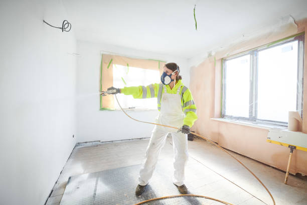 Best Black Mold Removal  in Brookville, NY