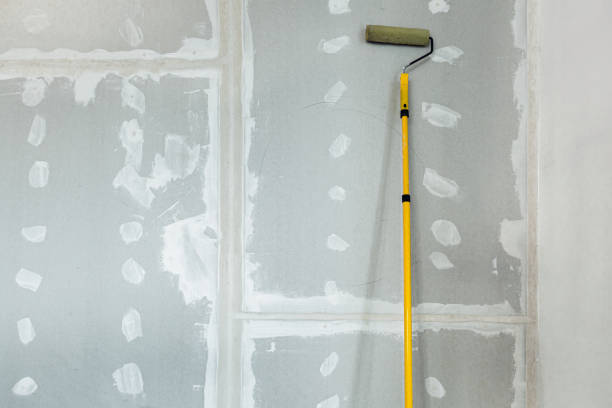 Best Crawl Space Mold Remediation  in Brookville, NY