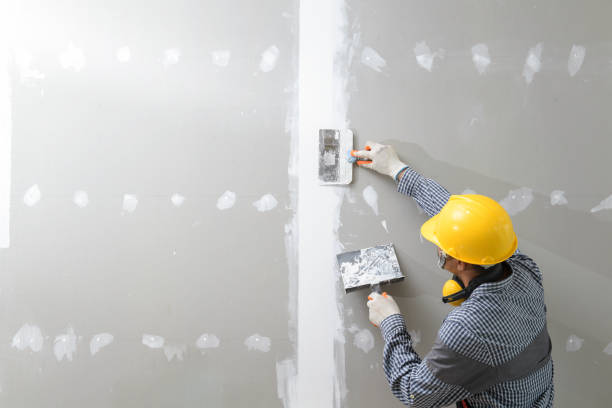Best Mold-Related Health Consultation  in Brookville, NY