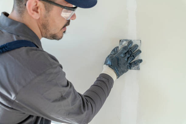 Best Basement Mold Removal  in Brookville, NY