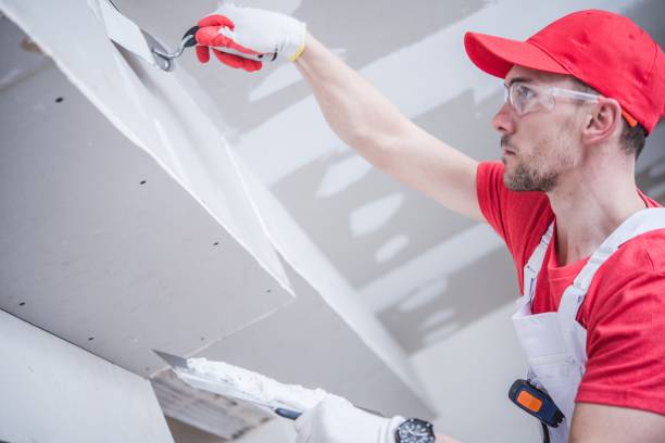 Best Mold Documentation for Insurance Claims  in Brookville, NY